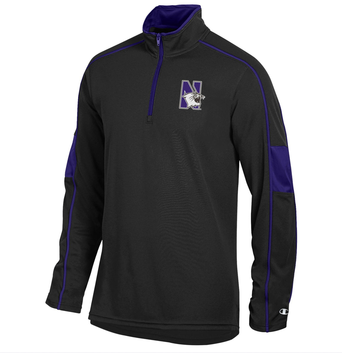 CHAMPION スウェット リバースウィーブ Northwestern Wildcats 90's Champion リバースウィーブスウェット “NORTHWESTERN”sp