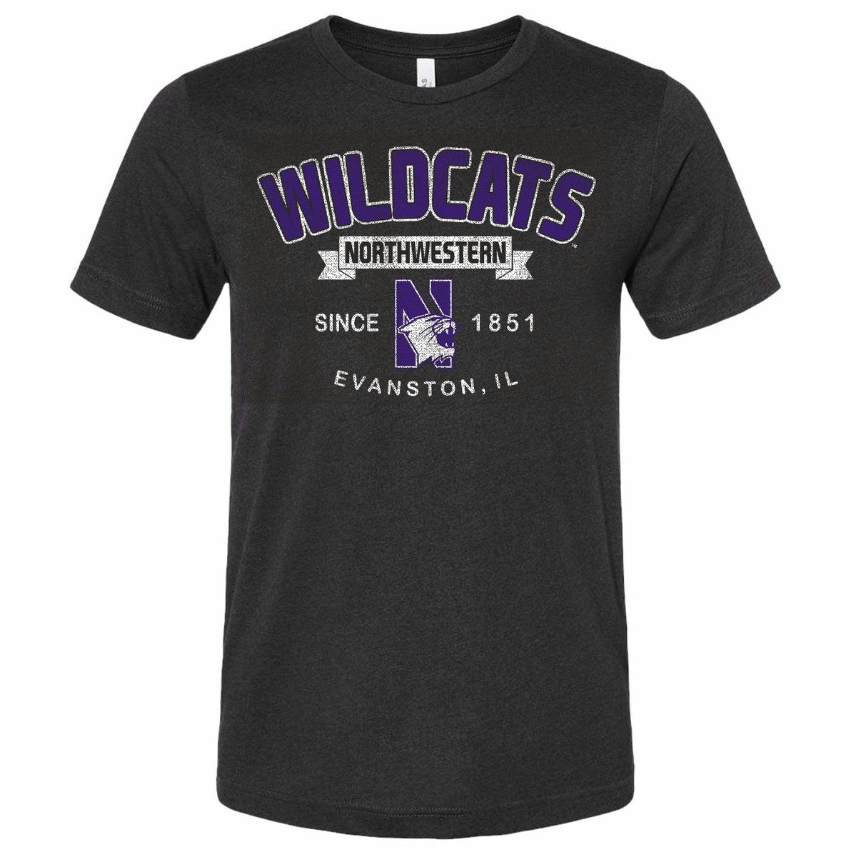 NEXUSⅦ. 24SS COLLEGE TRAINING CREW SHIRT Northwestern Wildcats City Legacy T-Shirt – Northwestern
