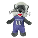 Northwestern Wildcats Bobbi Dobiez Accessory
